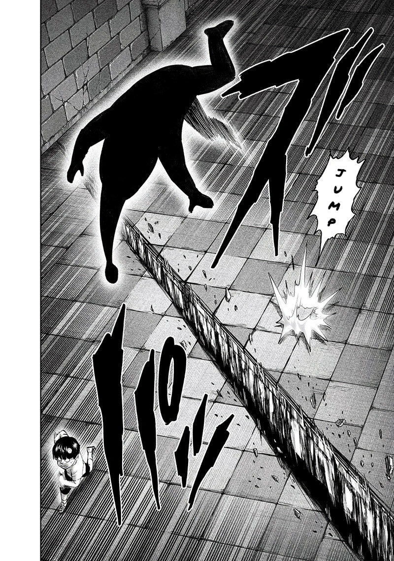 One Punch Man Manga Chapter 105 page 26 - Authenticity scene