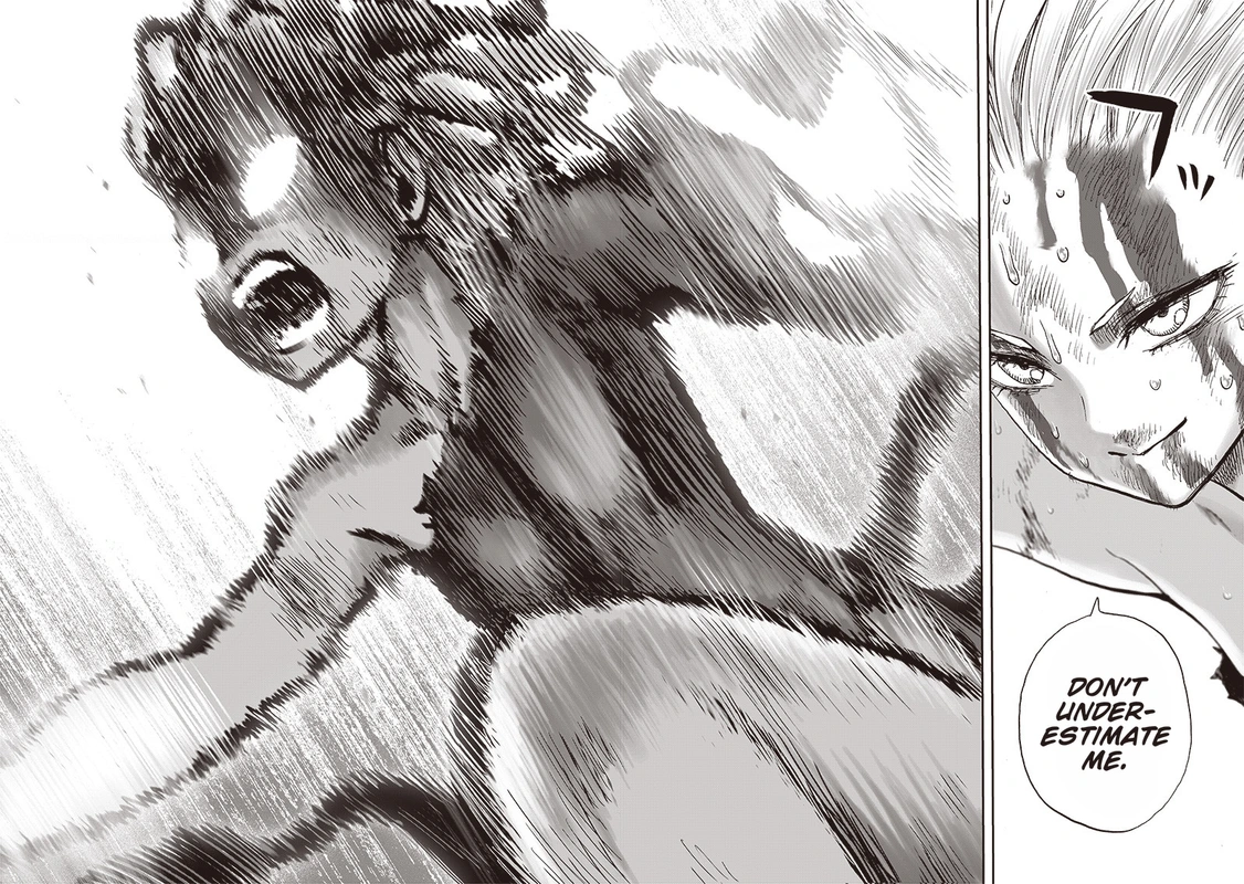 One Punch Man Manga Chapter 137 page 23 - Resonance scene