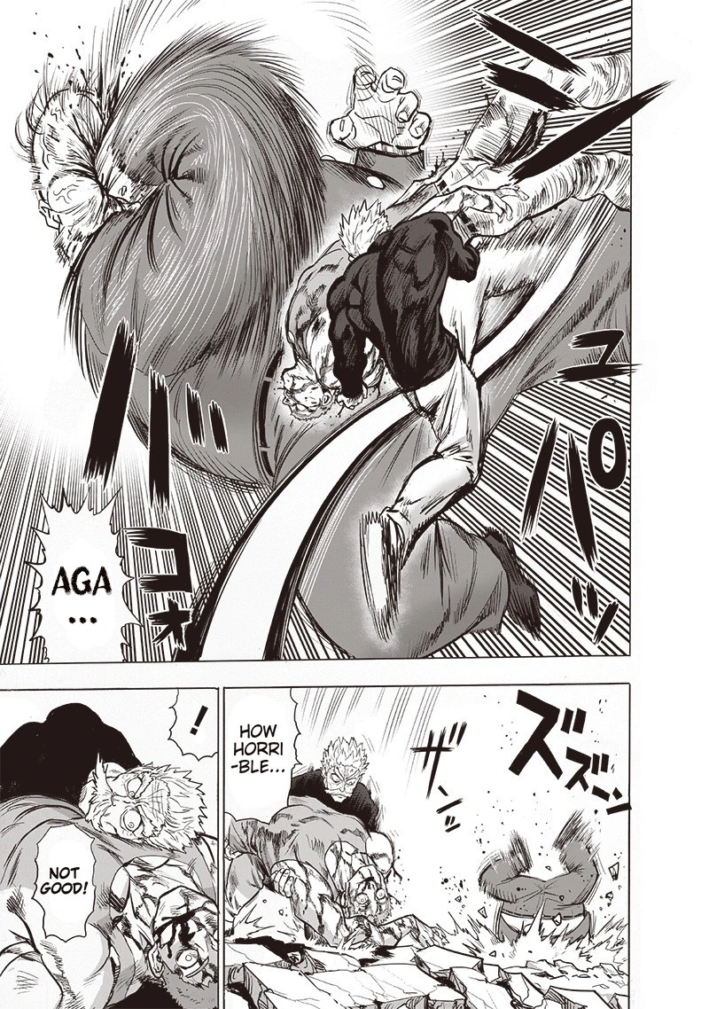 One Punch Man Manga Chapter 144 page 13 - Silver Fang scene