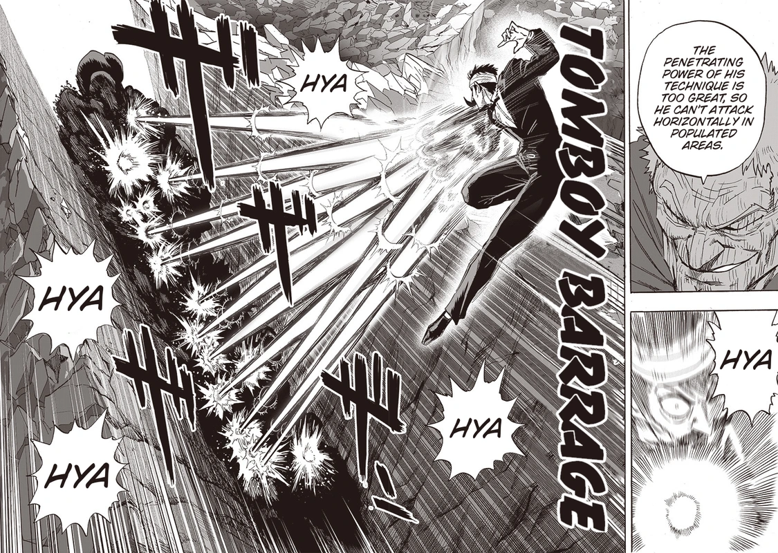One Punch Man Manga Chapter 146 page 17 - Backup scene