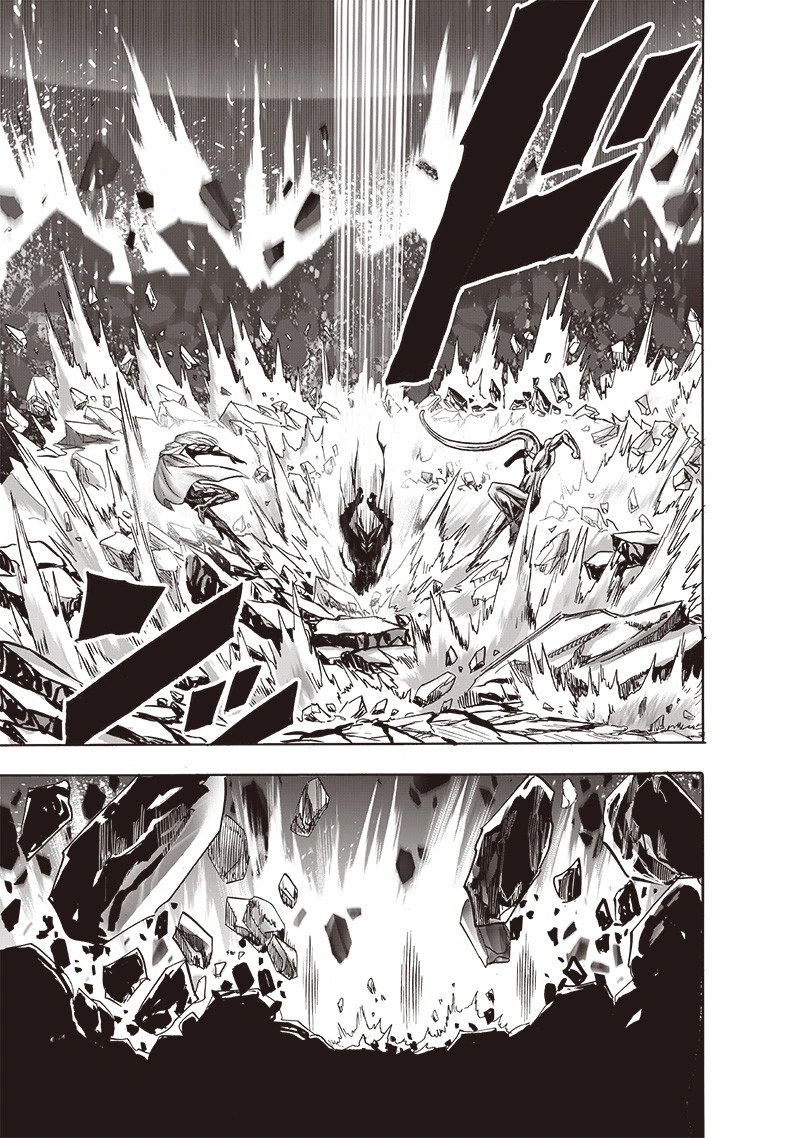 One Punch Man Manga Chapter 155 page 21 - Results scene