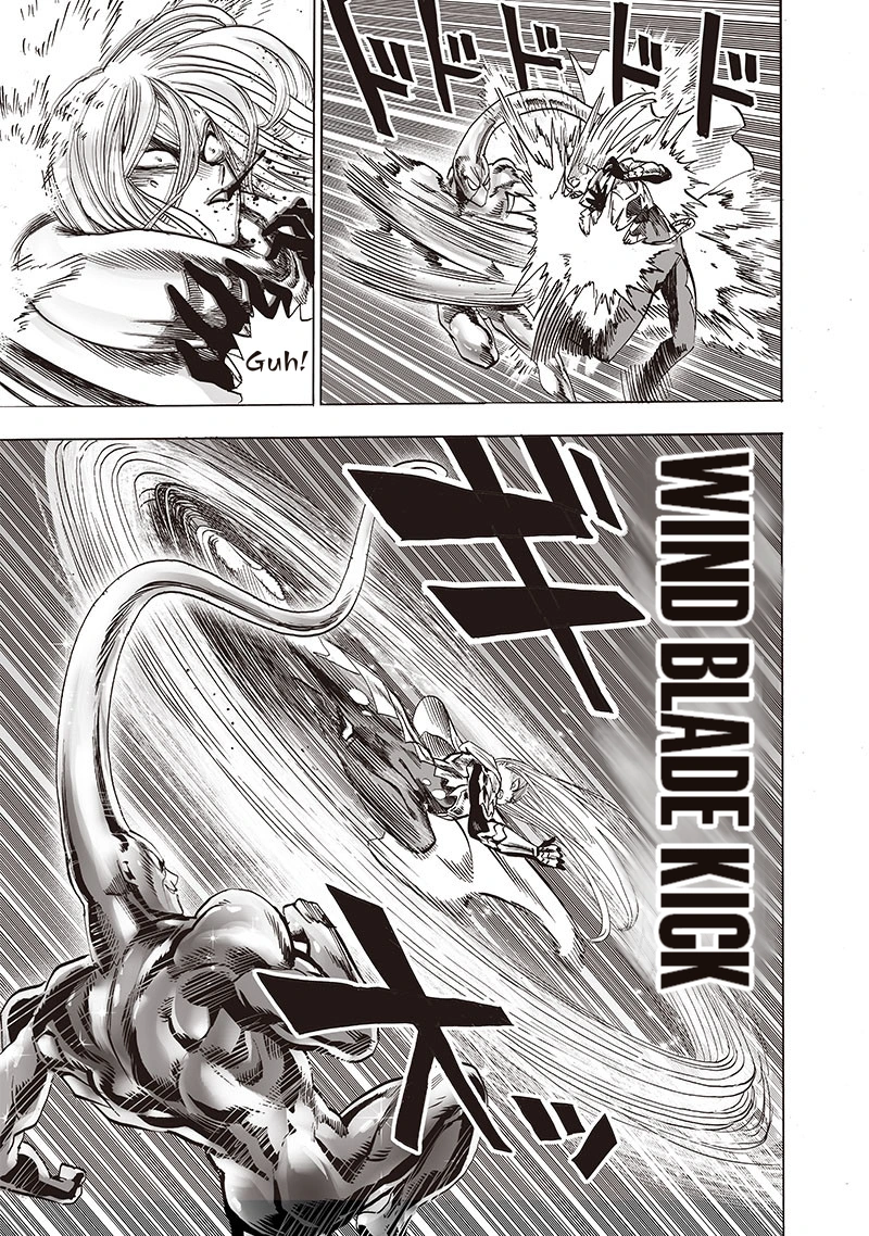 One Punch Man Manga Chapter 155 page 33 - Results scene