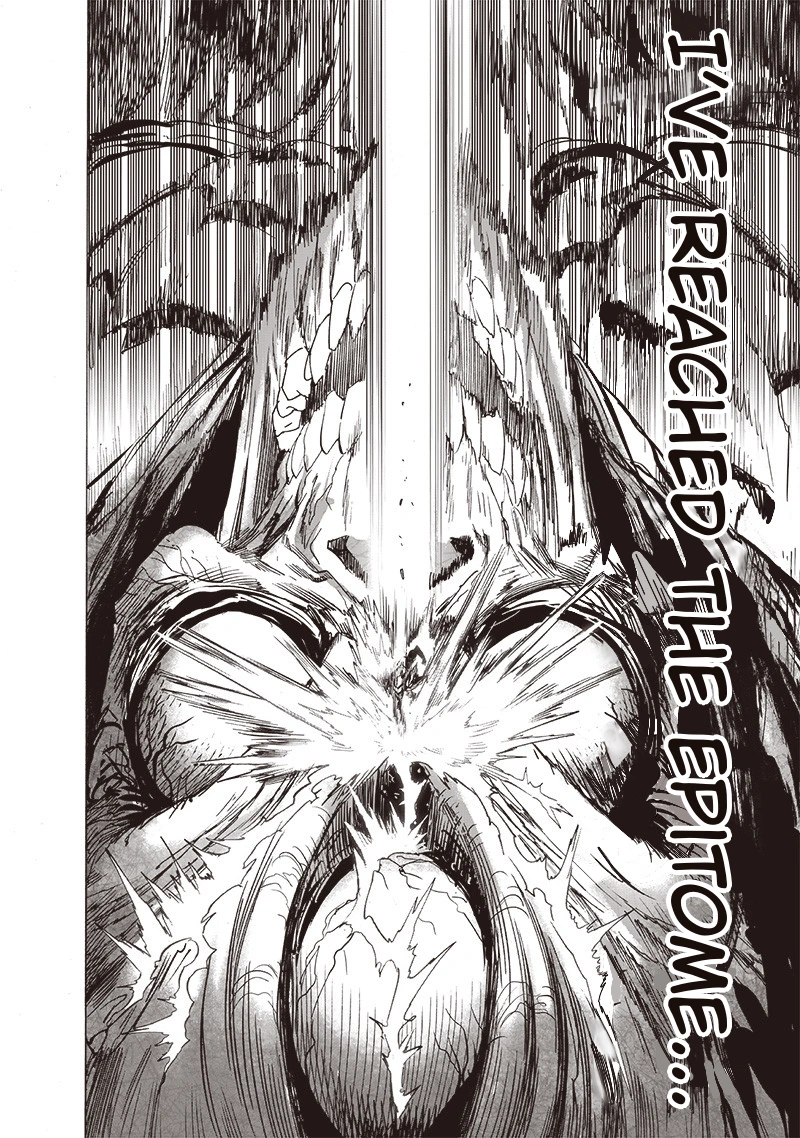 One Punch Man Manga Chapter 159 page 17 - Blessing scene