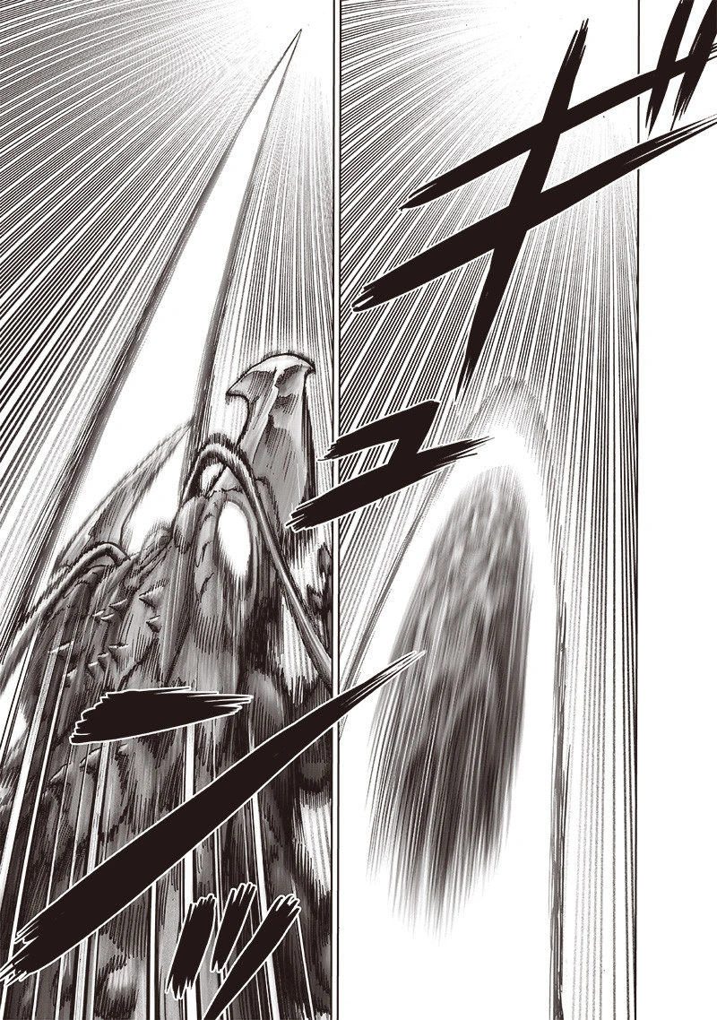 One Punch Man Manga Chapter 159 page 6 - Blessing scene