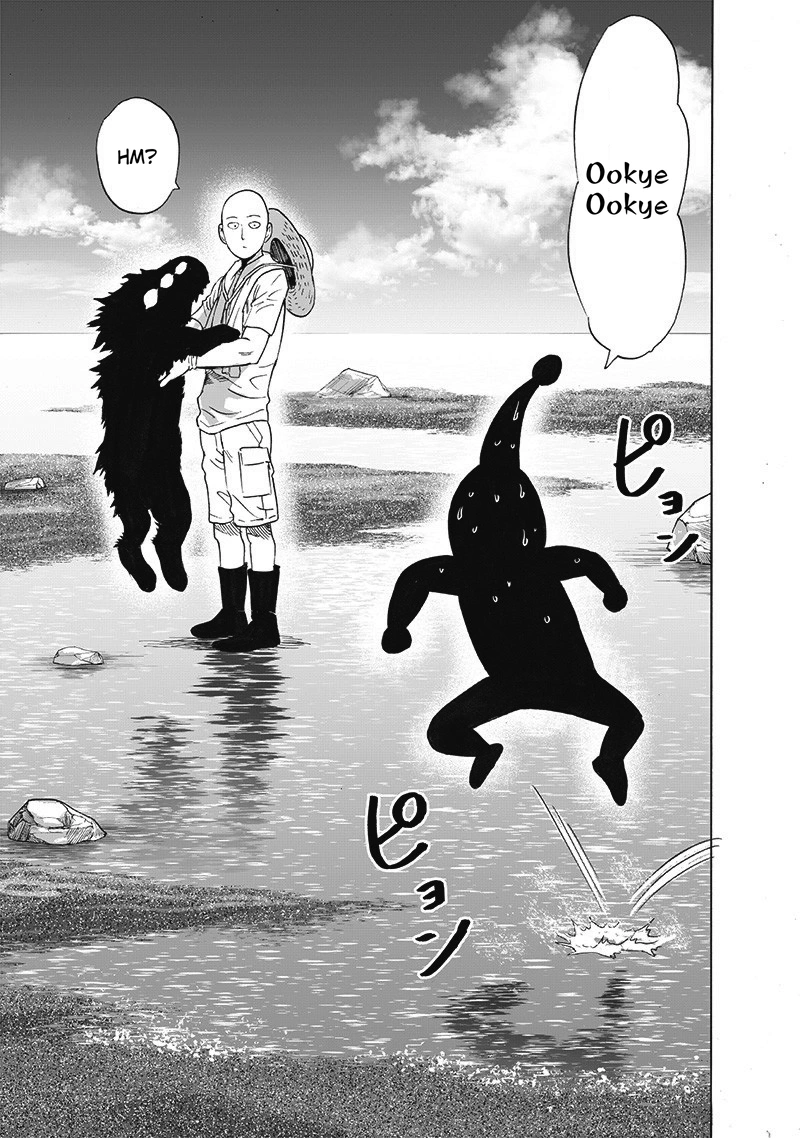 One Punch Man Manga Chapter 171 page 30 - The Last Guy I Wanna Run Into scene