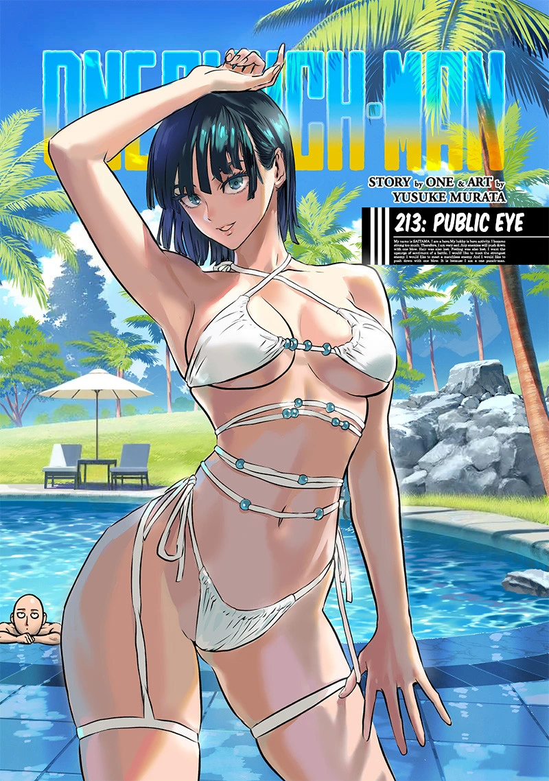 One Punch Man Manga Chapter 213 page 1 - Public Eye scene