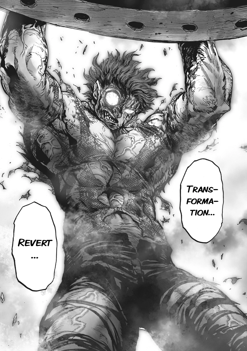 One Punch Man Manga Chapter 215 page 22 - What You Are scene