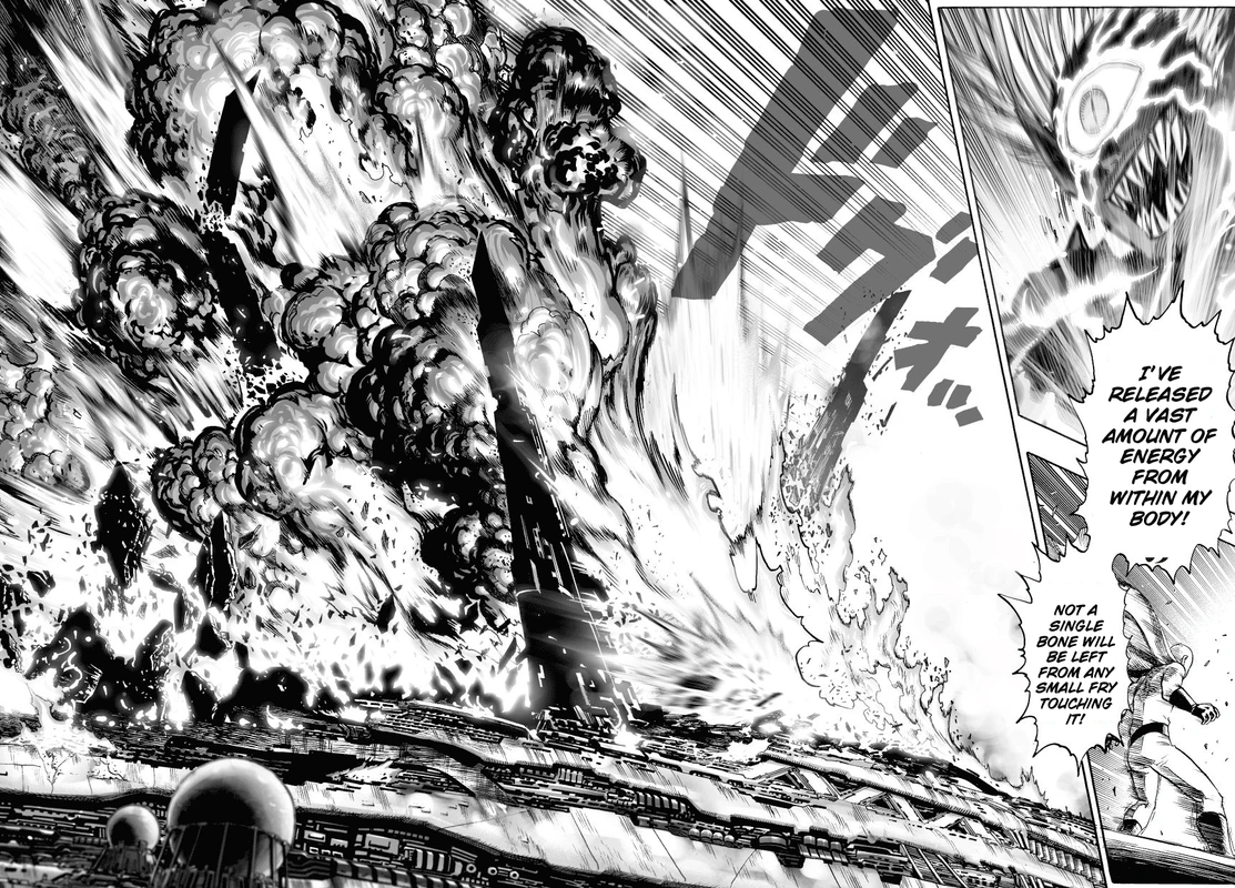 One Punch Man Manga Chapter 35 page 29 - The Fight scene