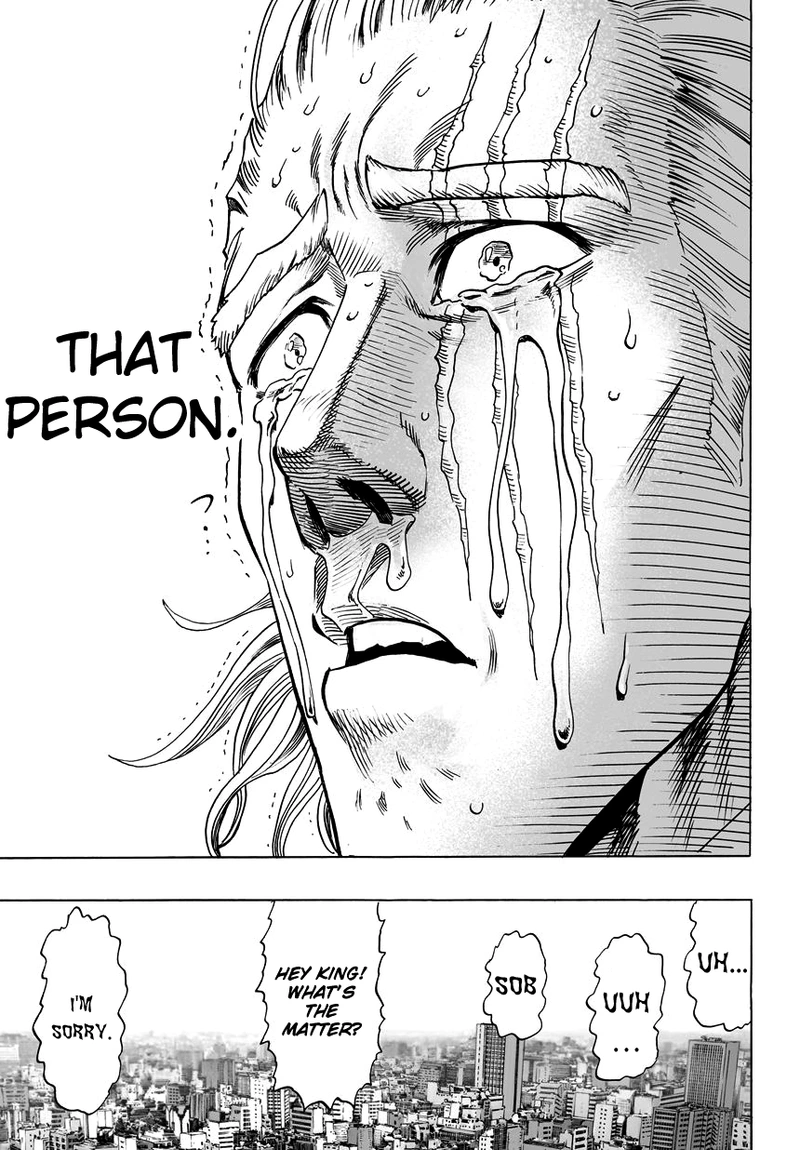 One Punch Man Manga Chapter 39 page 18 - That Person scene